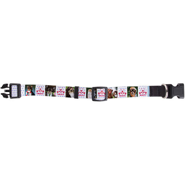 DC0246_3 Dog collar small ektiposi online