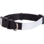 DC02566_2 dog collar large ektiposi online